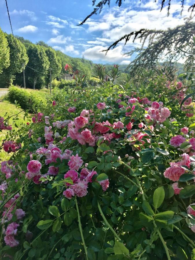 La Provencale B&B Duravel Luaran gambar